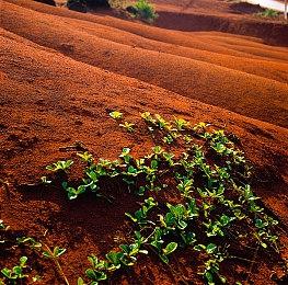 抢先体验游戏《夜族崛起》明年夏季推出正式版本